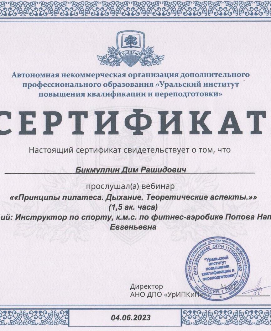 Сертификат САМБО Бикмуллин Дим Рашидович