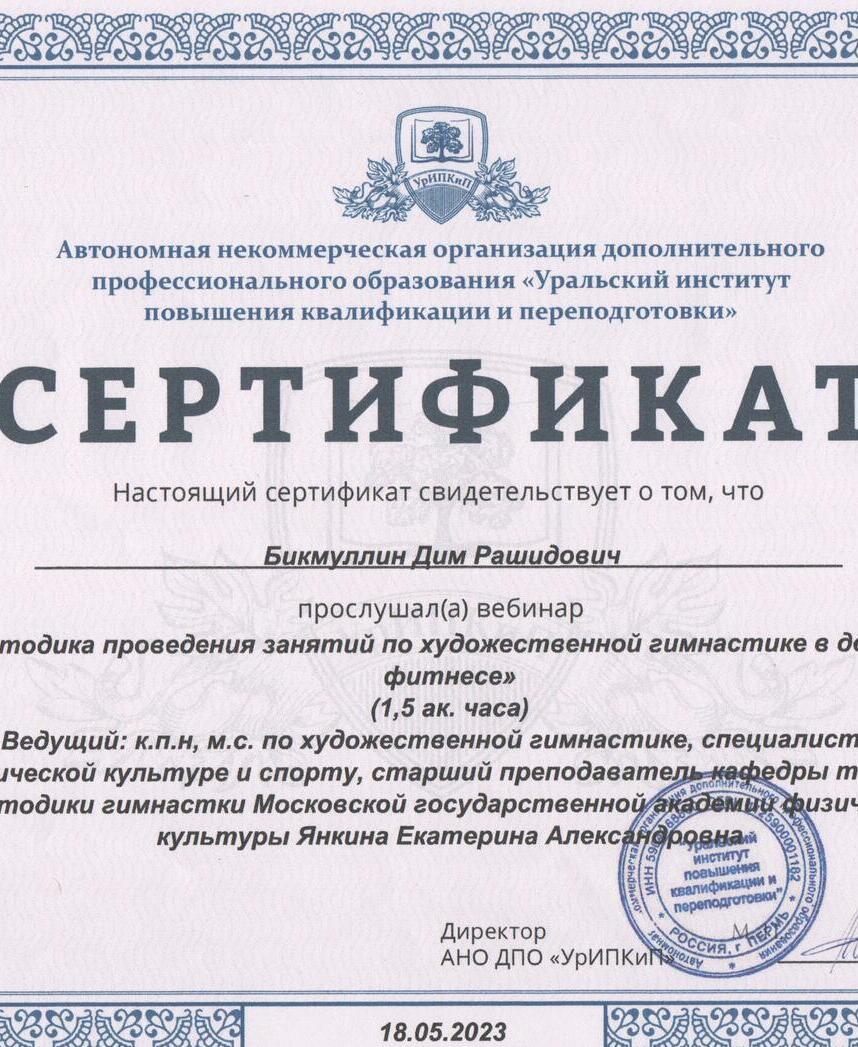 СКС-Снегири Бикмуллин Дим Рашидович