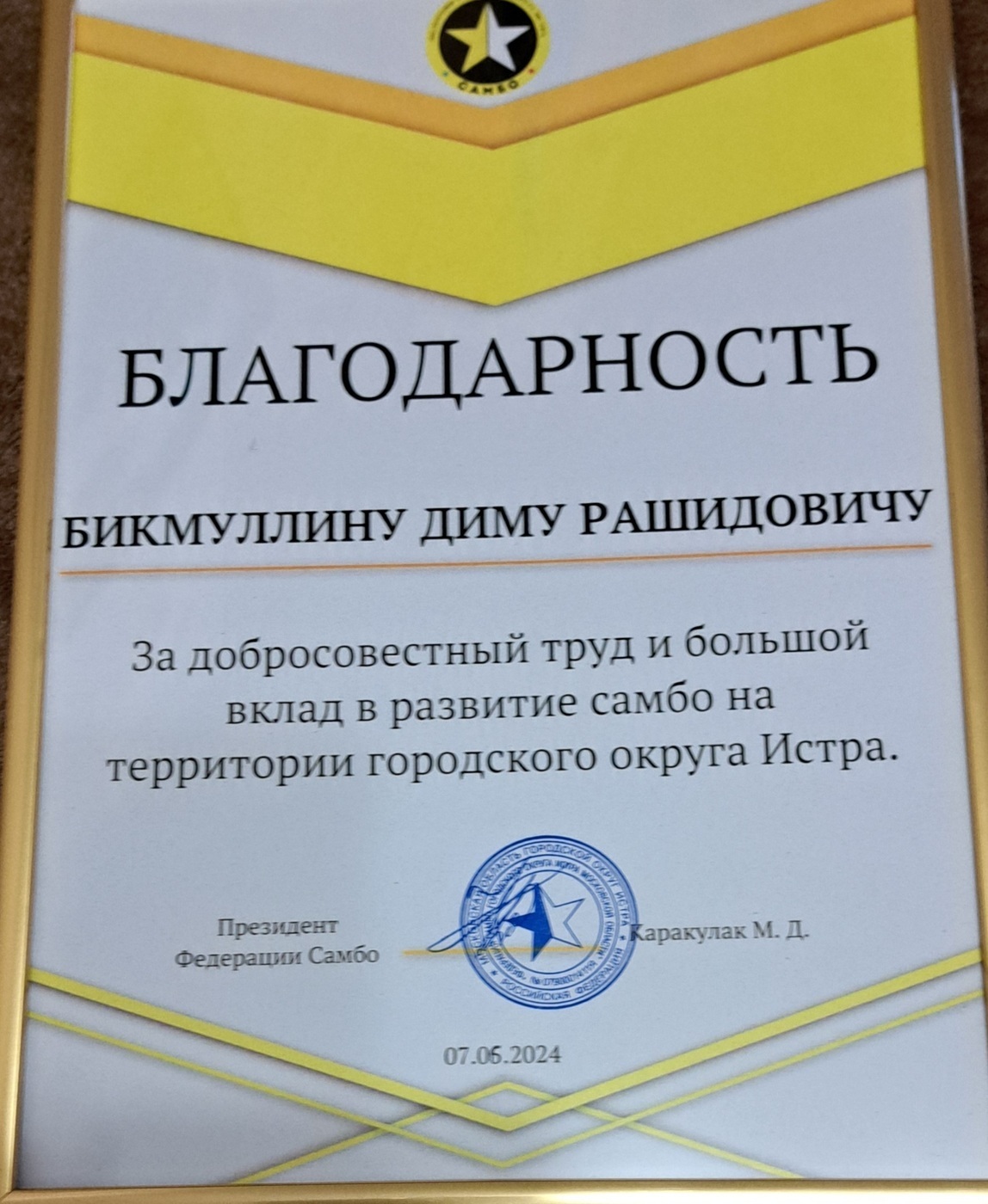 За добросовестный труд и большой вклад в развитие самбо на территории городского округа Истра Благодарность Бикмуллину Диму Рашидовичу