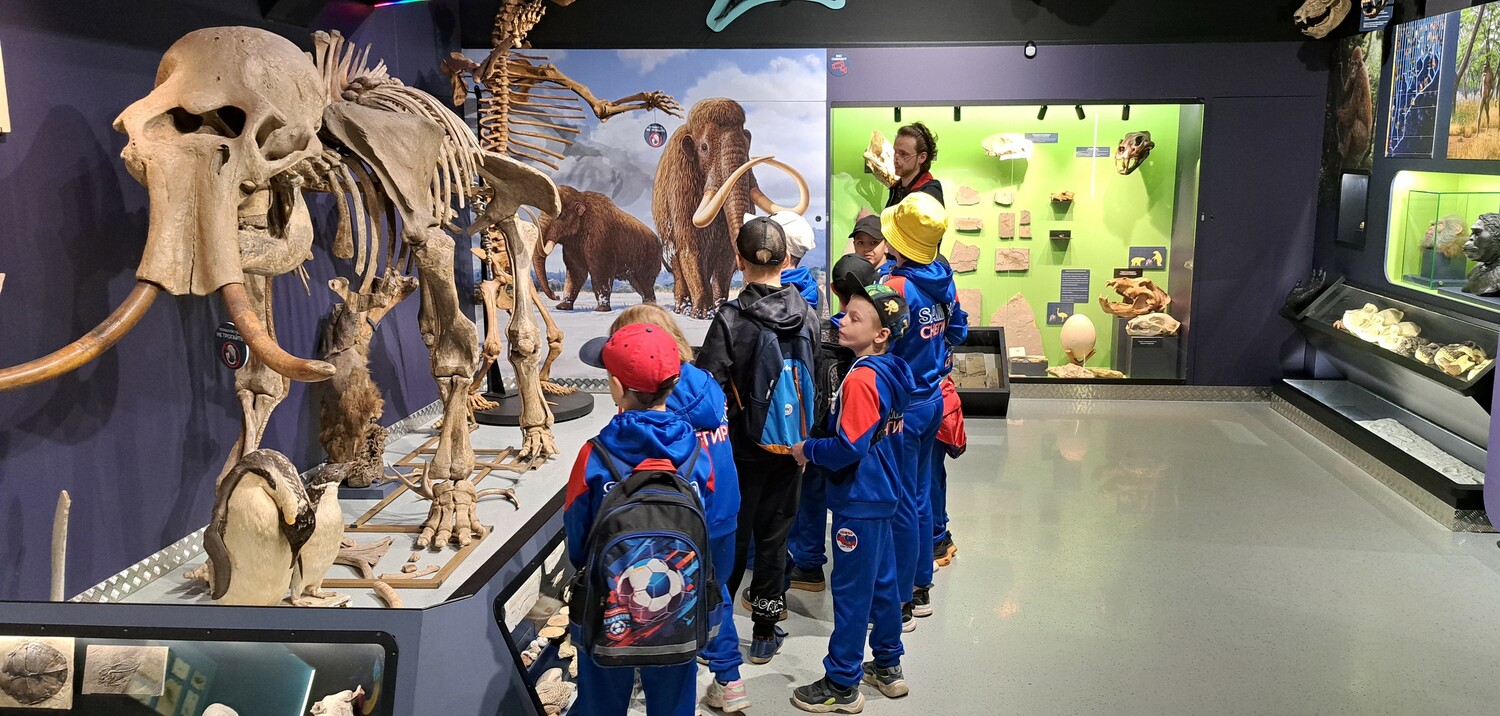 День выездного характера